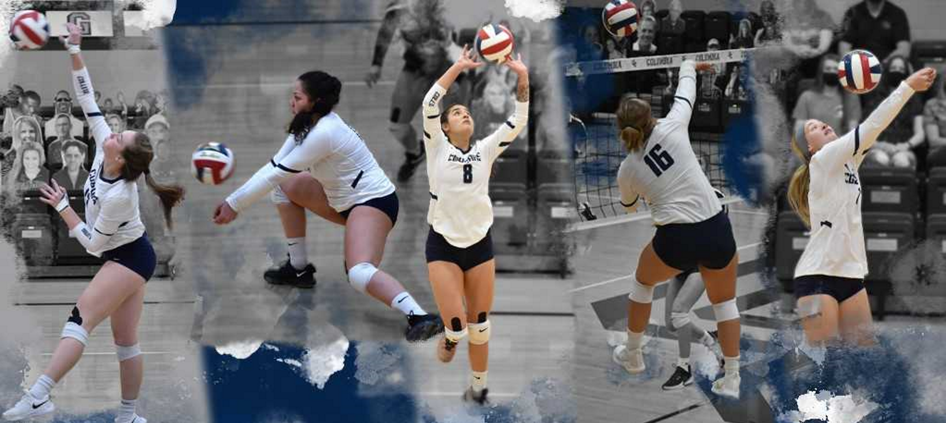 Columbia Cougars Volleyball Camps Columbia College Columbia, Missouri